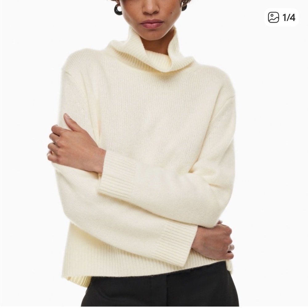 Aritzia Jara Cashmere Turtleneck